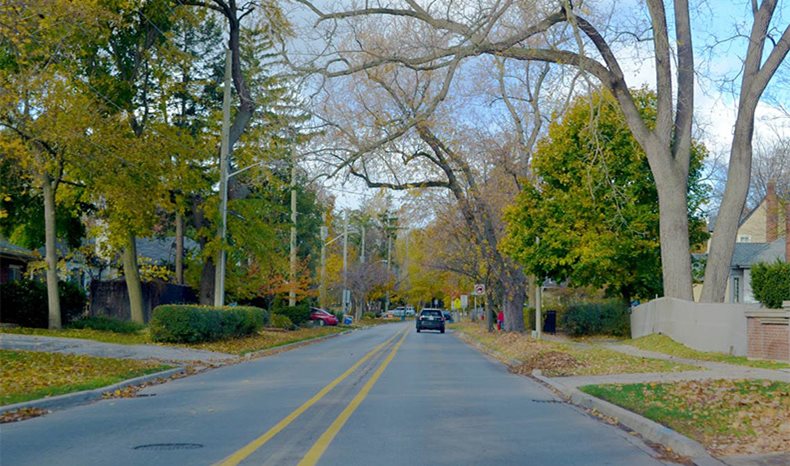 A tree lined residential street in Fall